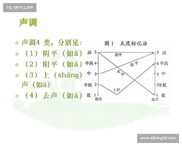 排球爱好者必备的五大技巧提高水平从基础到进阶的必学秘诀